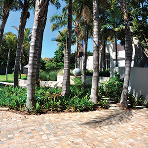 Outdoor Kitchens